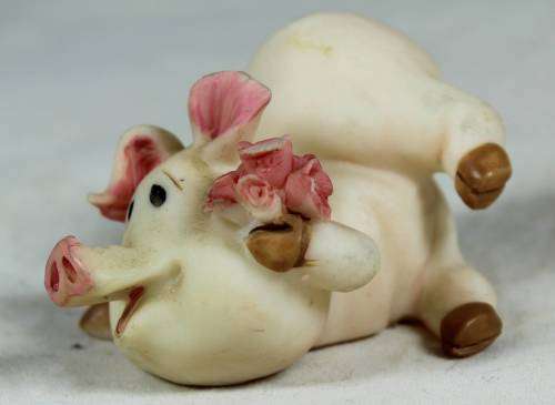 MINIATURE-PIG WITH FLOWERS(LOVELY)BID NOW!!