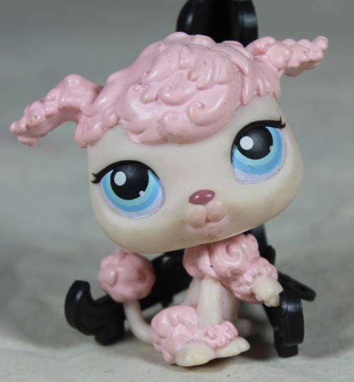 LITTLEST PET SHOP AUTHENTIC RANGE WITH A RED MAGNET(HASBRO 2004)RARE POODLE #48(SO CUTE)BID NOW!