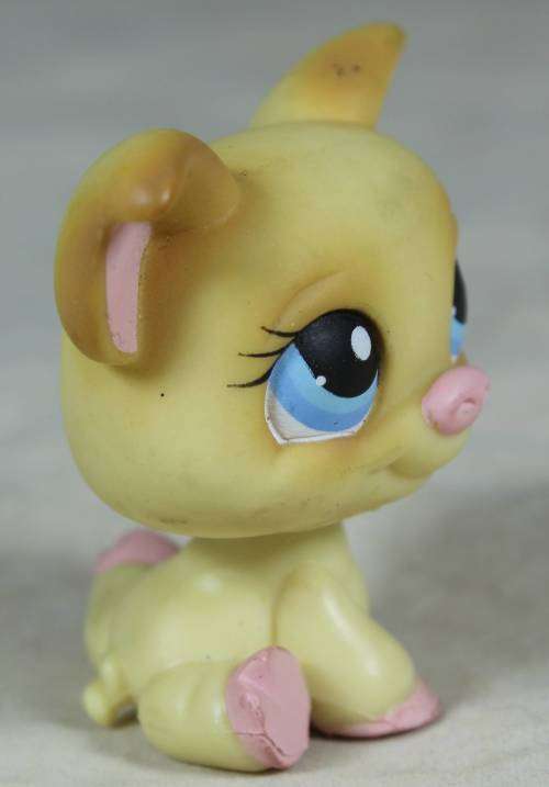 LITTLEST PET SHOP AUTHENTIC RANGE WITH A RED MAGNET(HASBRO 2005)PIG#266(SO CUTE)BID NOW!
