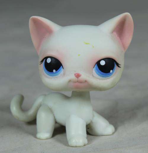 LITTLEST PET SHOP AUTHENTIC RANGE WITH A RED MAGNET(HASBRO 2004)SHORT HAIR CAT#64(SO CUTE)BID NOW!