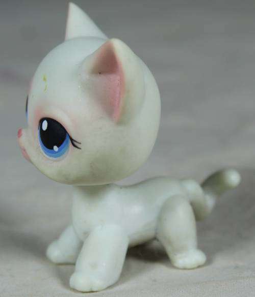 LITTLEST PET SHOP AUTHENTIC RANGE WITH A RED MAGNET(HASBRO 2004)SHORT HAIR CAT#64(SO CUTE)BID NOW!