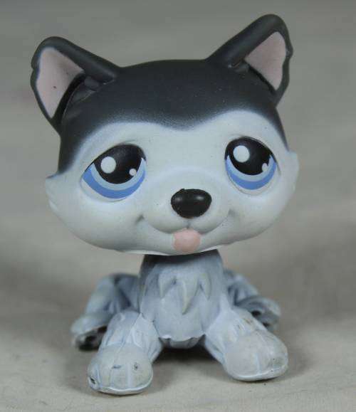 LITTLEST PET SHOP AUTHENTIC RANGE WITH A RED MAGNET(HASBRO 2004)GREY HUSKY DOG#70(SO CUTE)BID NOW!