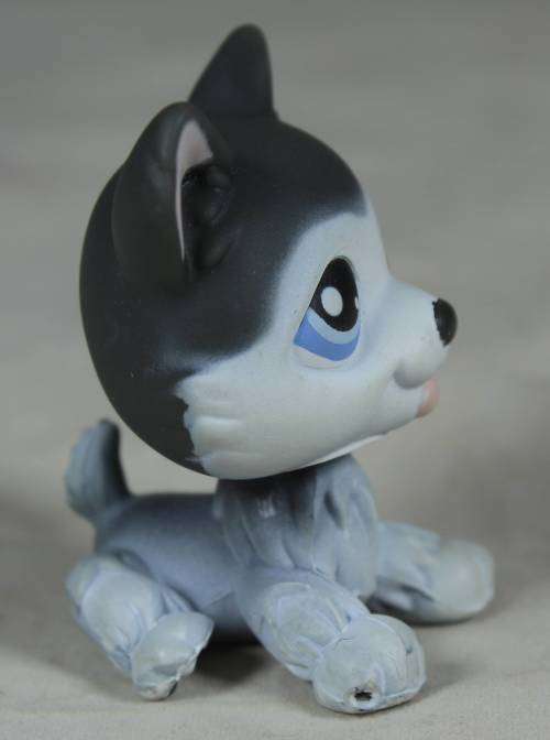 LITTLEST PET SHOP AUTHENTIC RANGE WITH A RED MAGNET(HASBRO 2004)GREY HUSKY DOG#70(SO CUTE)BID NOW!
