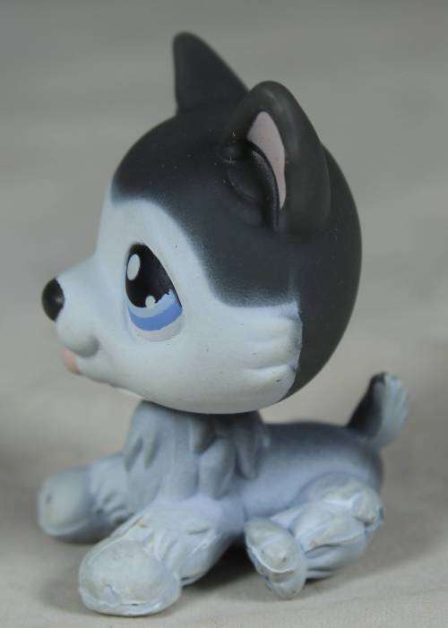 LITTLEST PET SHOP AUTHENTIC RANGE WITH A RED MAGNET(HASBRO 2004)GREY HUSKY DOG#70(SO CUTE)BID NOW!