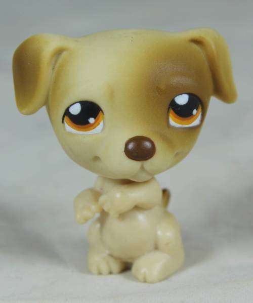 LITTLEST PET SHOP AUTHENTIC RANGE WITH A RED MAGNET(HASBRO 2004)BEGGING JACK RUSSEL(SO CUTE)BID NOW!