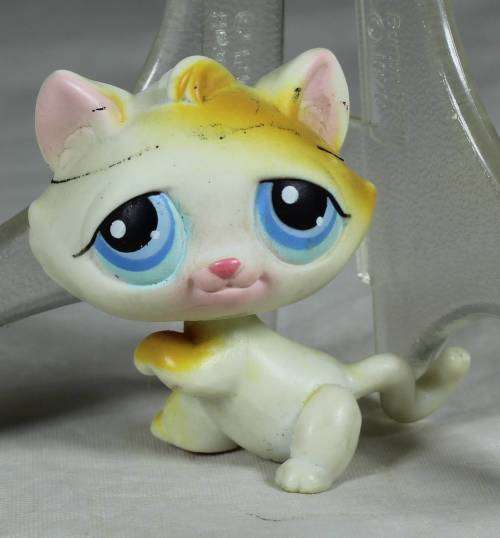 LITTLEST PET SHOP AUTHENTIC RANGE WITH A RED MAGNET HASBRO(TABBY CAT #52)BID NOW!
