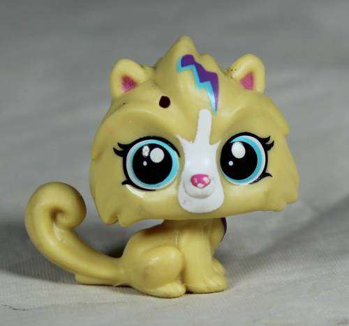 LITTLEST PET SHOP AUTHENTIC RANGE WITH A RED MAGNET HASBRO(POMMY LE CLERE POMERANIAN)BID NOW!