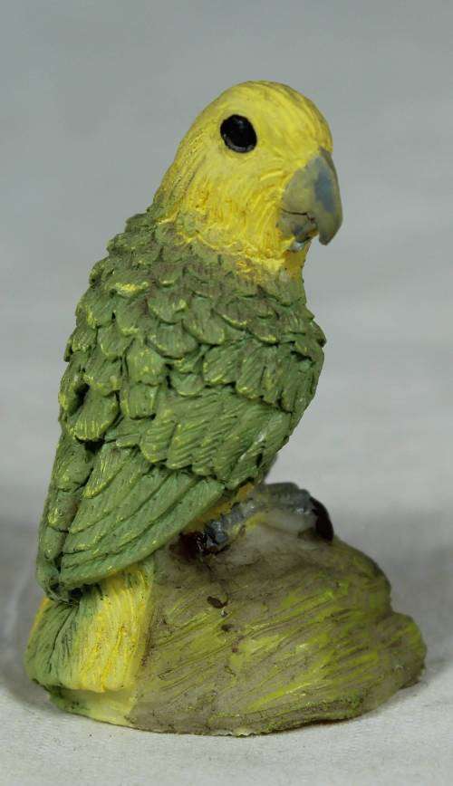 MINIATURE PARROT (LOVELY) BID NOW!!!