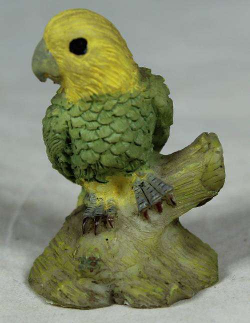 MINIATURE PARROT (LOVELY) BID NOW!!!