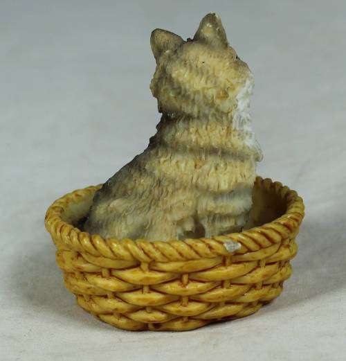 MINIATURE CAT IN A BASKET (ADORABLE) BID NOW!!!
