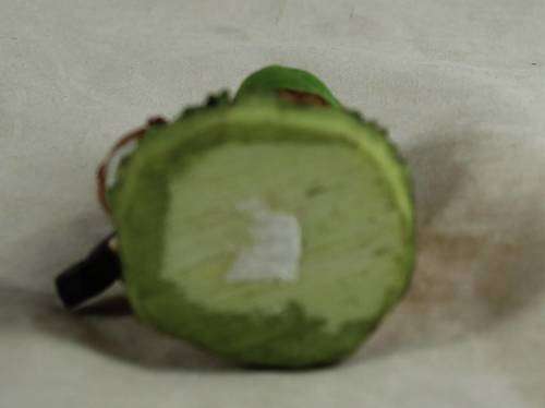 MINIATURE GARDEN GNOME-PLAYING THE VIOLIN(LOVELY) BID NOW!!