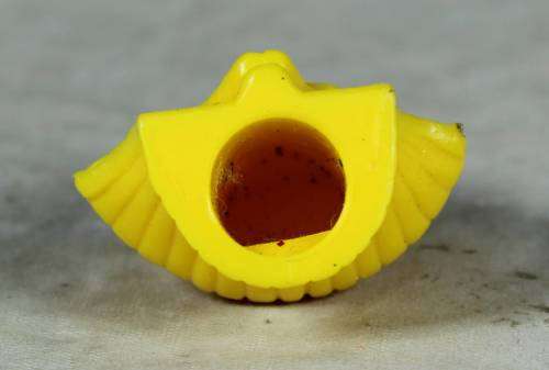 Egyption skeleton pencil topper