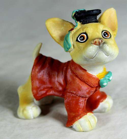 GRADUATING DOGGY  - BID NOW!!!