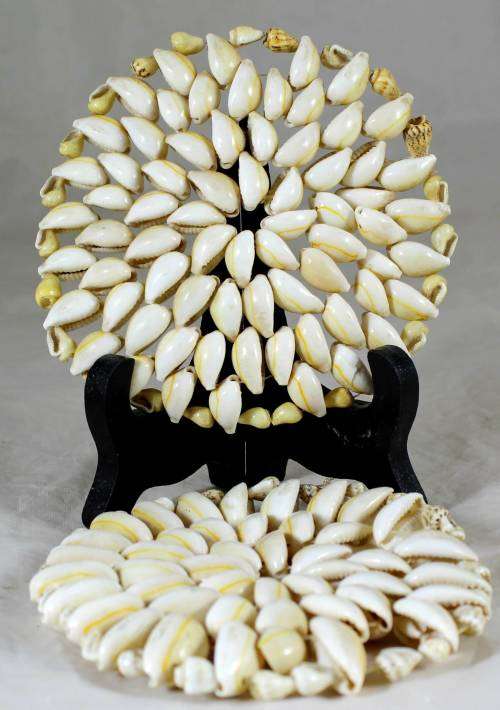 PAIR OF SHELL DOILIES - BID NOW !!!