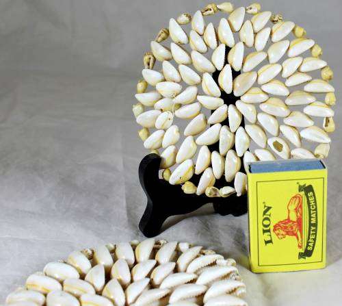 PAIR OF SHELL DOILIES - BID NOW !!!