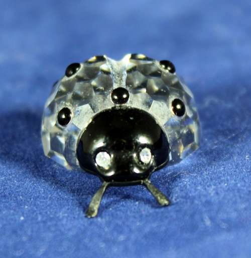 Swarovski Crystal - Beetle - A beautiful treasure!! Bid now!!