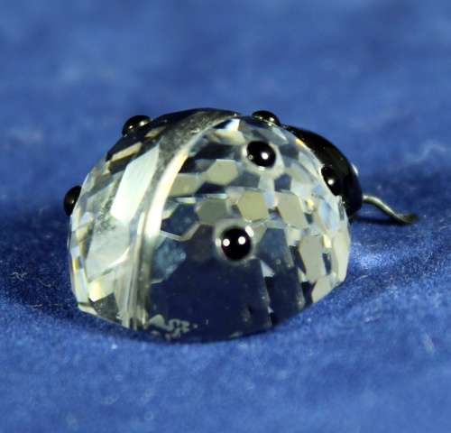 Swarovski Crystal - Beetle - A beautiful treasure!! Bid now!!