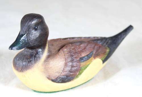 Feathered Friends - Limited Edition Duck - Pintail - Act fast and bid now!!!