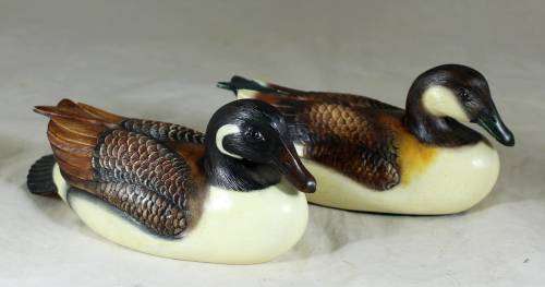 Feathered Friends - Duck Pair - Act fast and bid now!!!