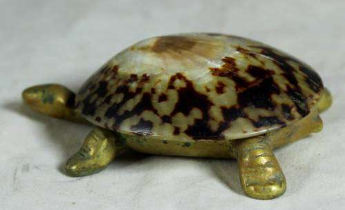 Miniature Brass Tortoise  Bid Now!!