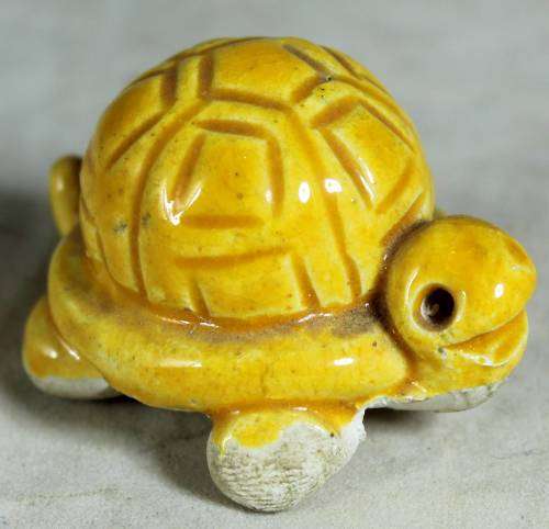Miniature yellow tortoise