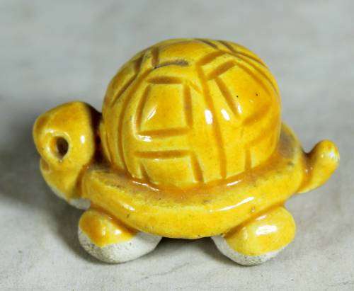 Miniature yellow tortoise