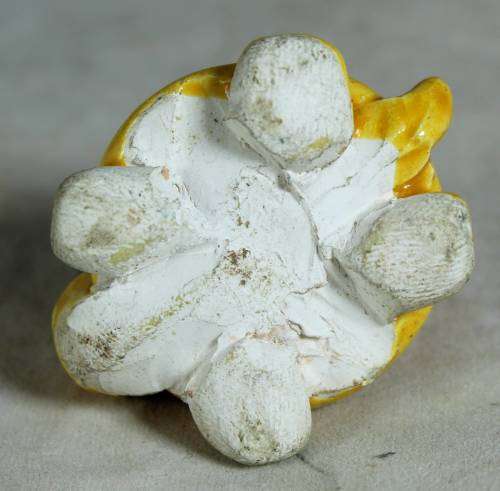 Miniature yellow tortoise