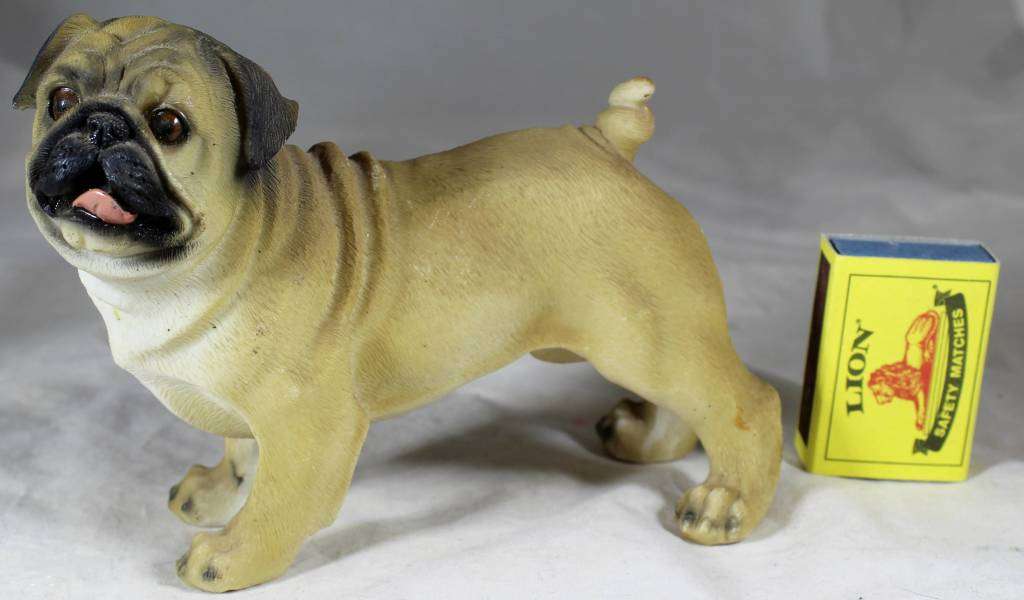 Molded Pug- Beautiful!!! BID NOW!!!!