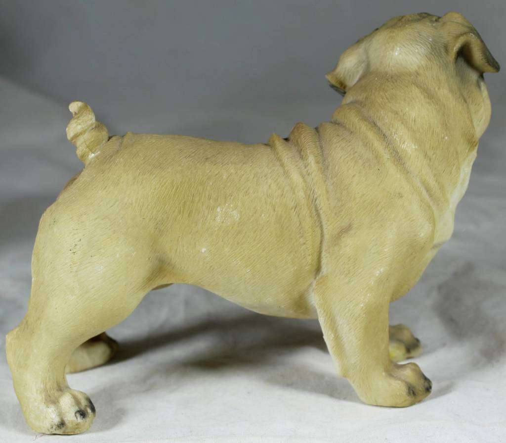 Molded Pug- Beautiful!!! BID NOW!!!!