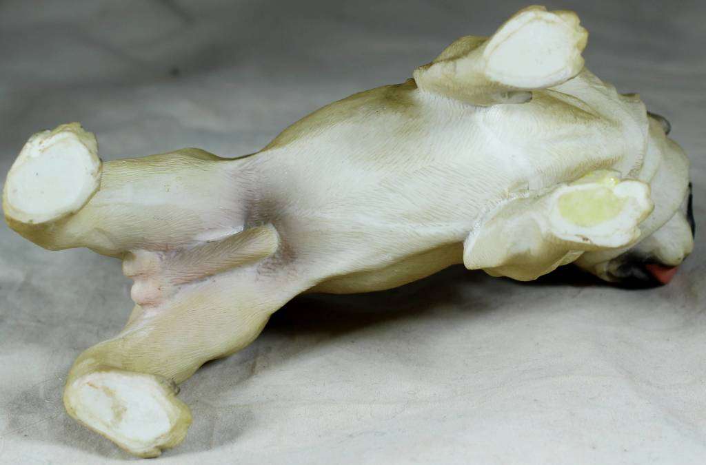 Molded Pug- Beautiful!!! BID NOW!!!!