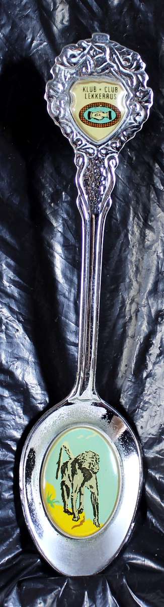 Souvenir spoon - Club Lekker Rus