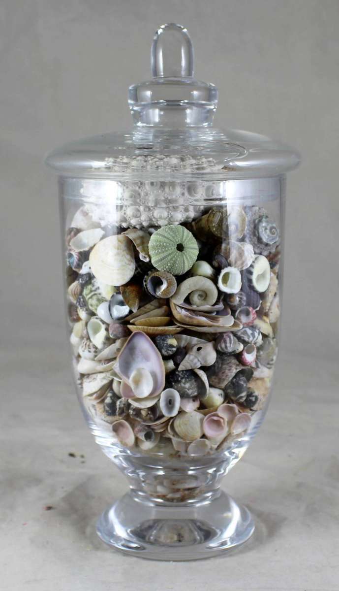 Lidded vase with shells