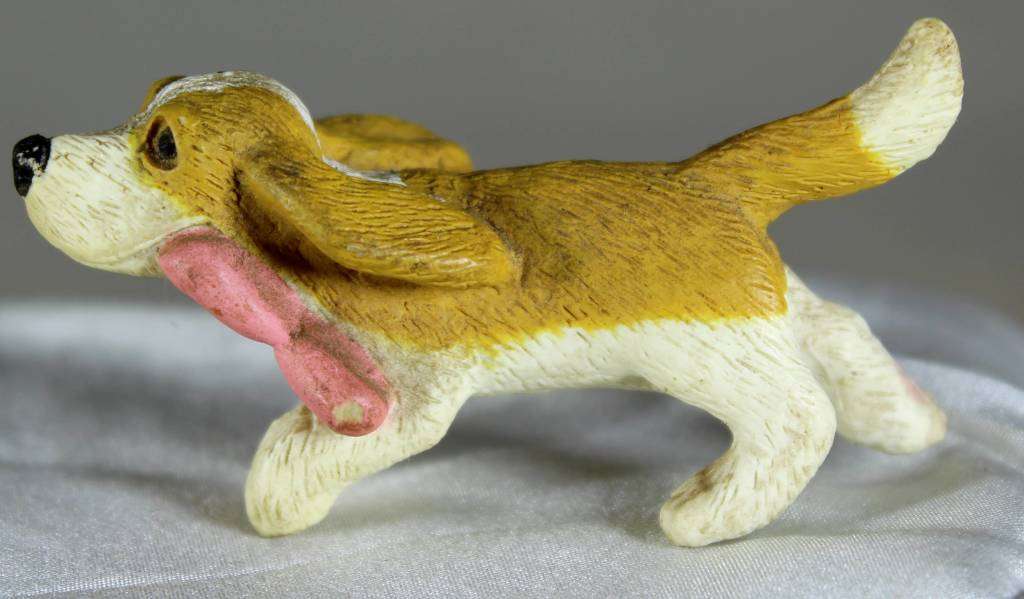 Miniature - Pointer Dog - Act Fast!!! -BID NOW!!!