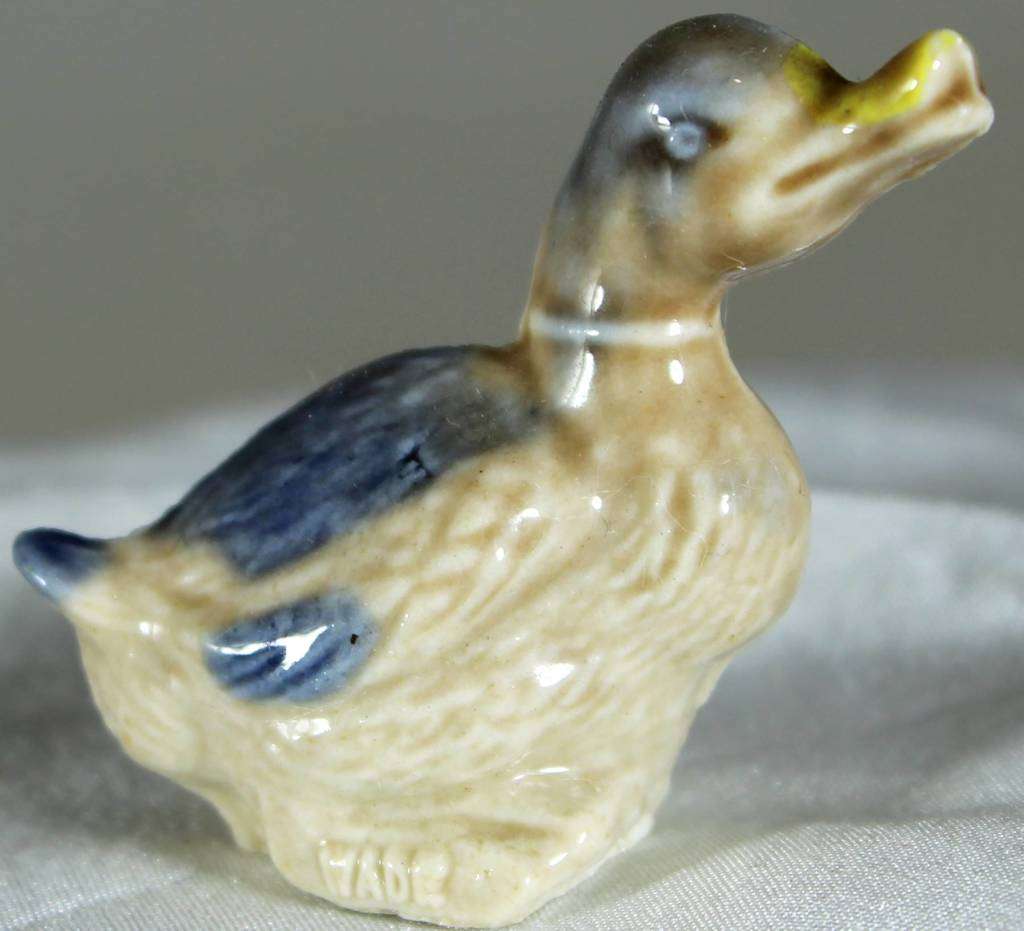 Wade duck