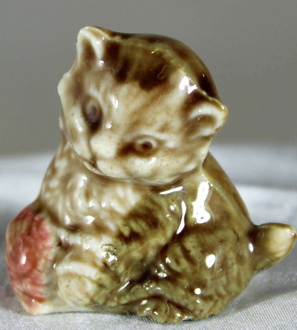 Wade kitten with ball