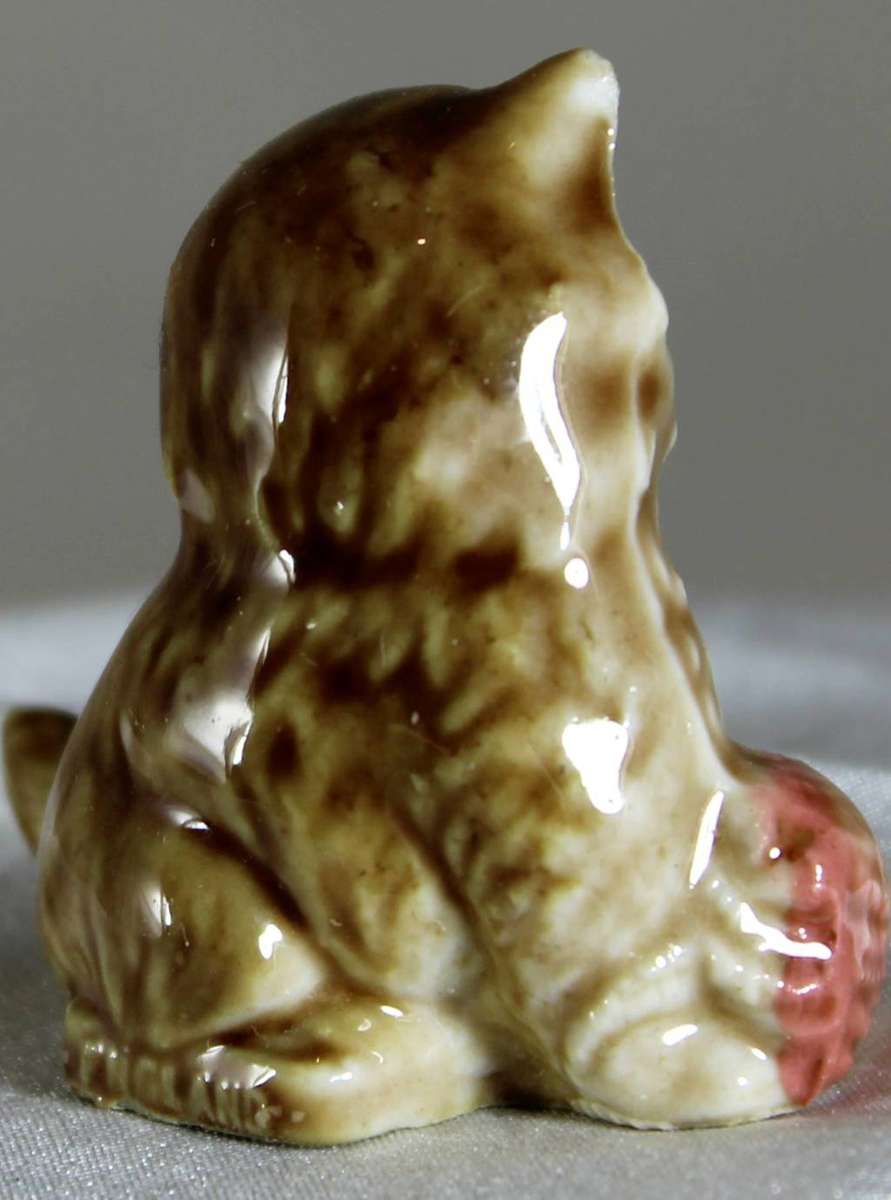 Wade kitten with ball