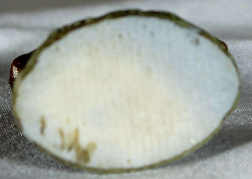 Wade - Gingerbread Man - Act Fast!!! -BID NOW!!!