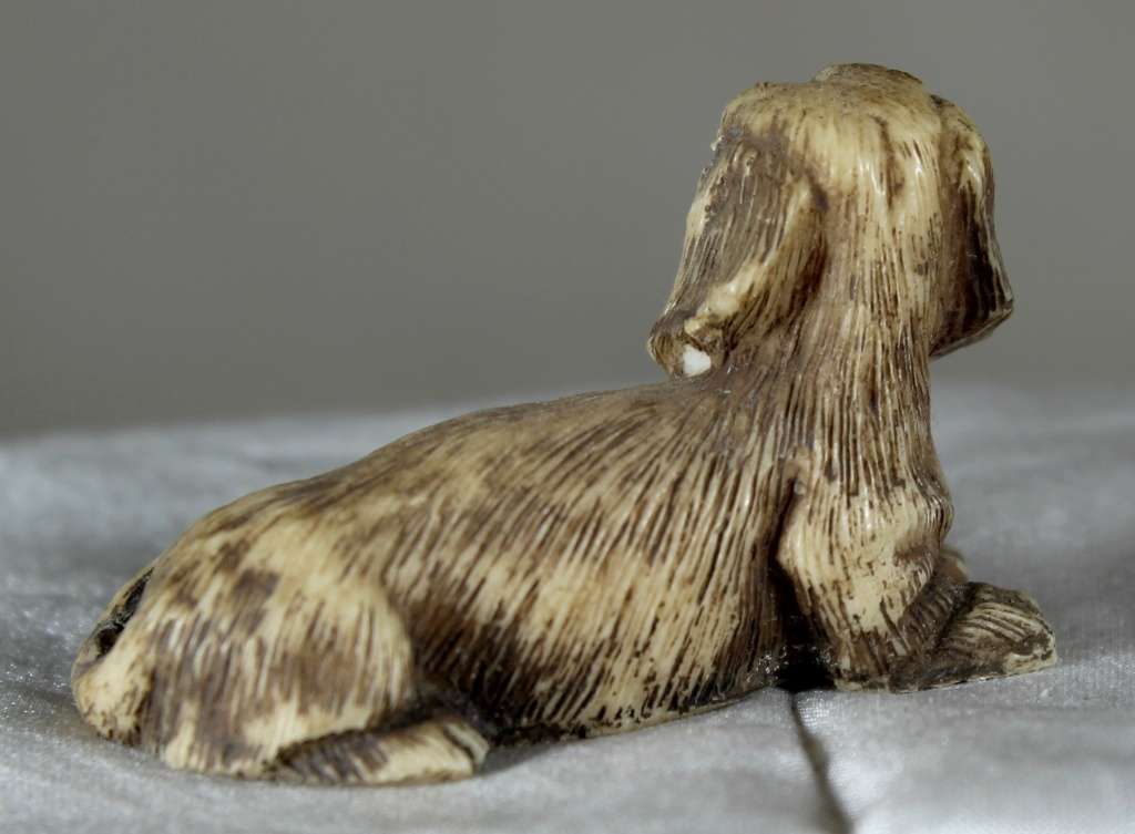 Miniature Dachshund Laying Down - Act Fast!! Bid Now!!