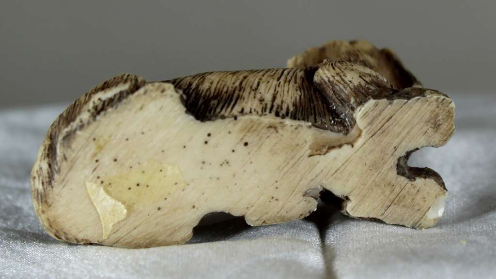 Miniature Dachshund Laying Down - Act Fast!! Bid Now!!