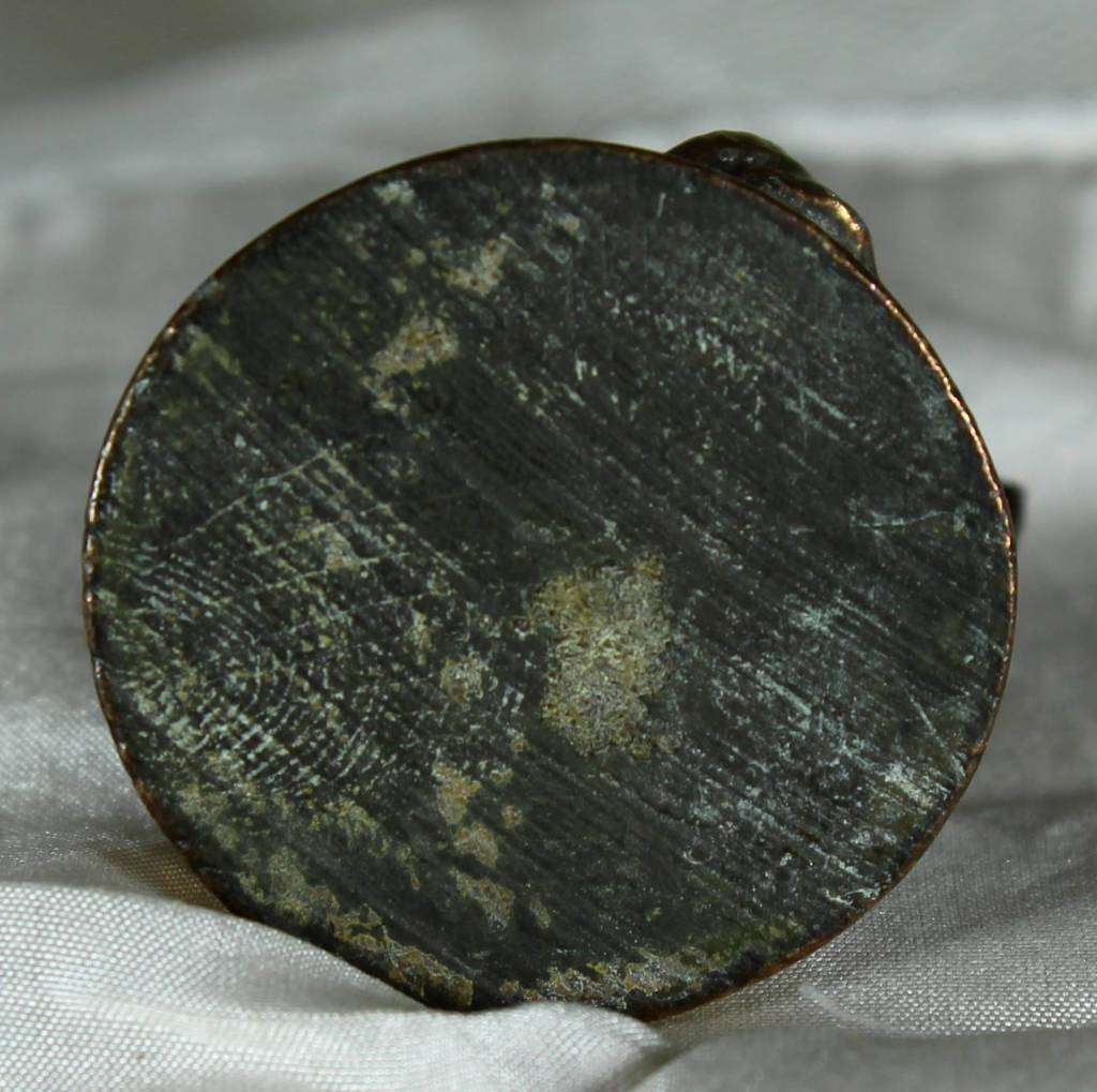 Brass Insect - Bid Now!!!