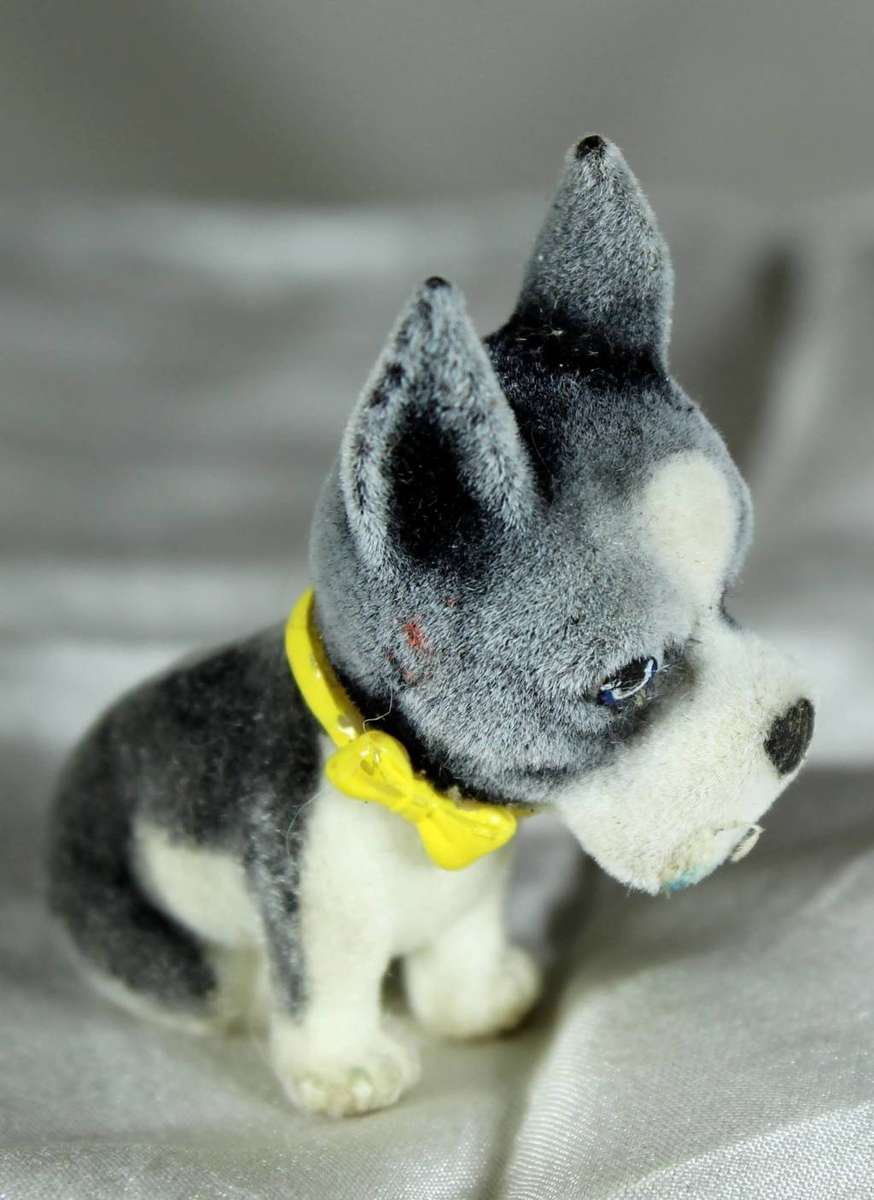 Puppy in my pocket families - Boston terrier