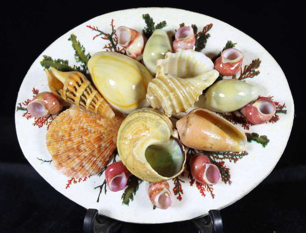 Shell Art - Pretty Oval - Magnet - Bid Now!!!