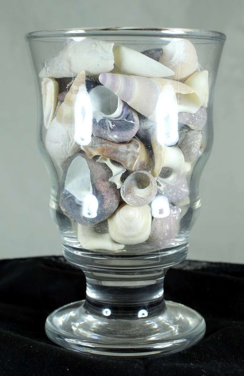 Small glass vase with assorted sea shells