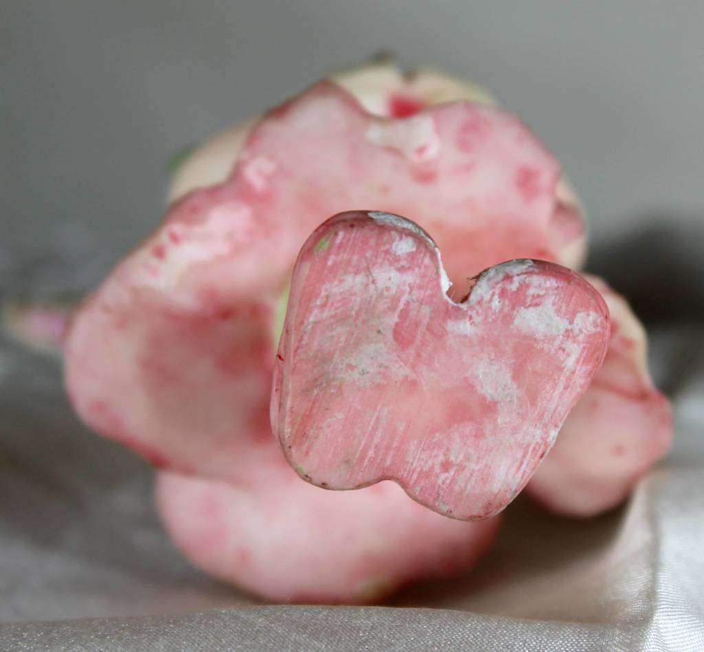 Flower garden petal fairy in light pink