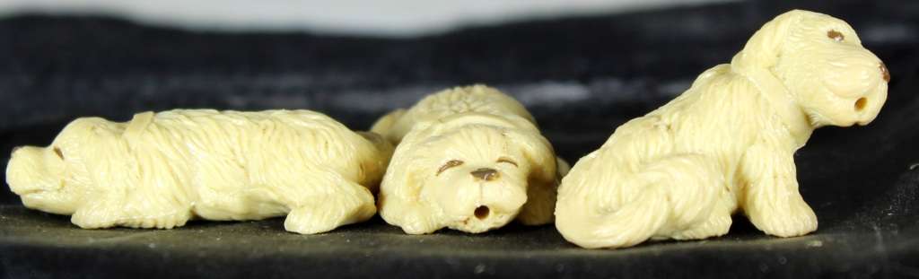 Miniature Trio of Puppies