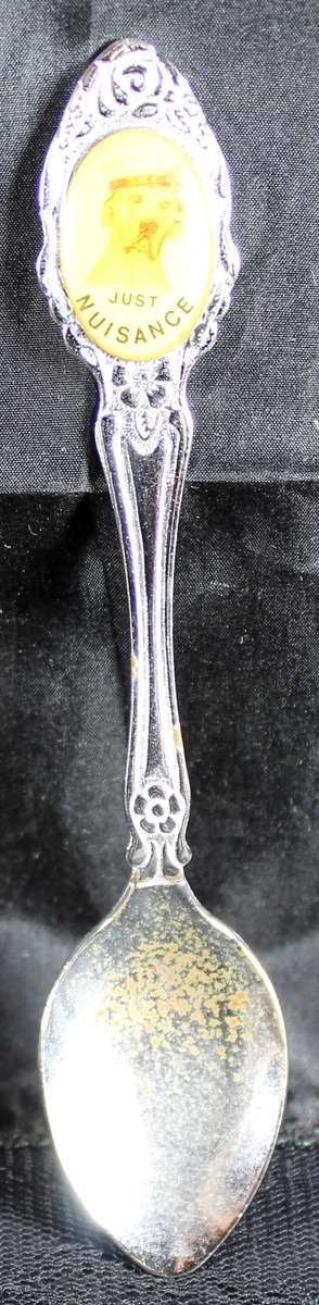 Souvenir Teaspoon - Just Nuisance