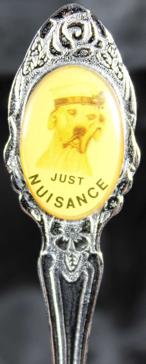 Souvenir Teaspoon - Just Nuisance