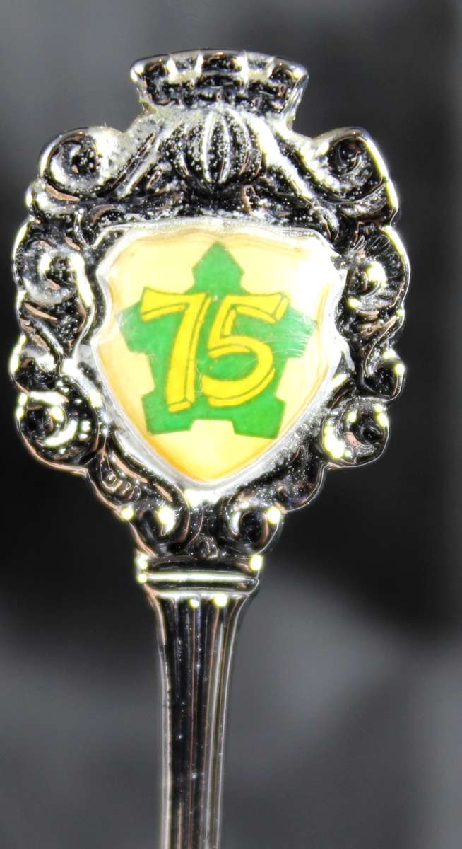 Souvenir Teaspoon - SADF 75 Years