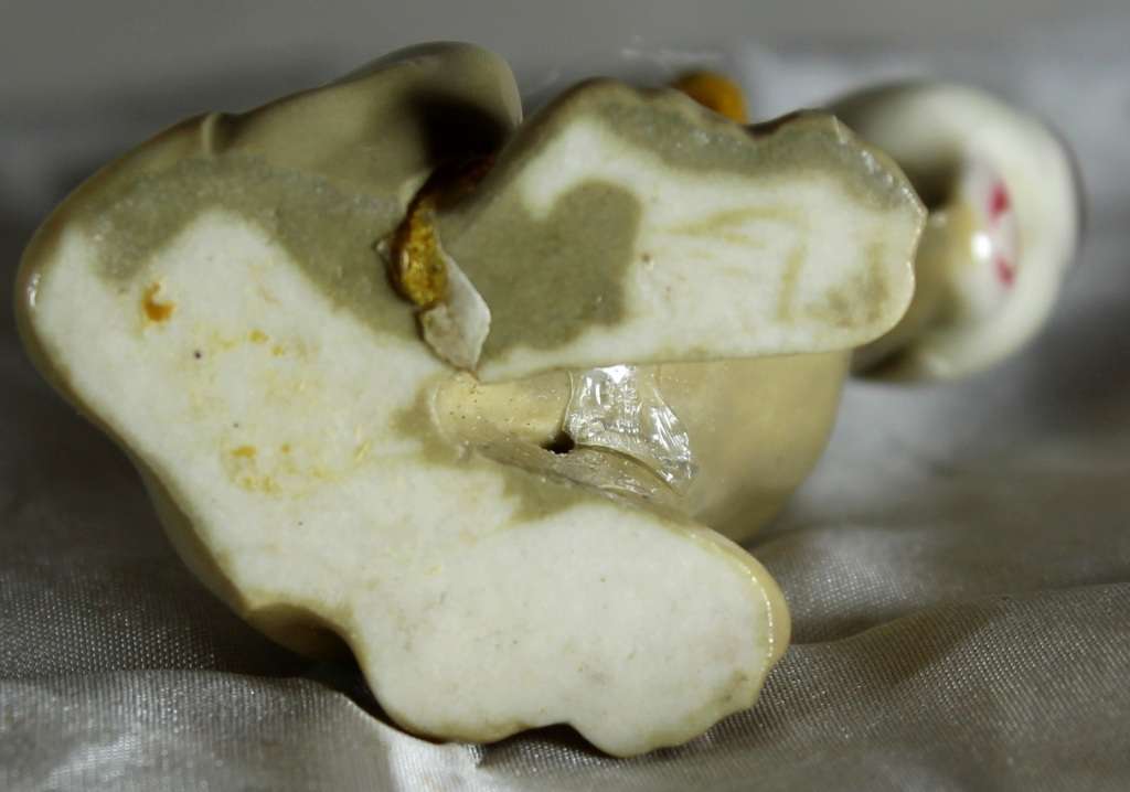 Wade - Lady and the Tramp - Trusty - BID NOW!!!