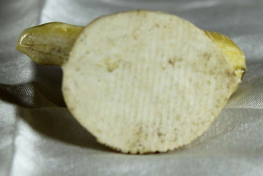 Wade Whimsie - Goose